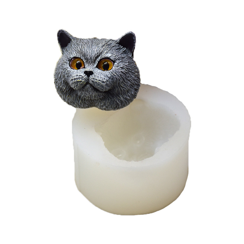 Moule en silicone en forme de  - Soap Making Kits avis et prix