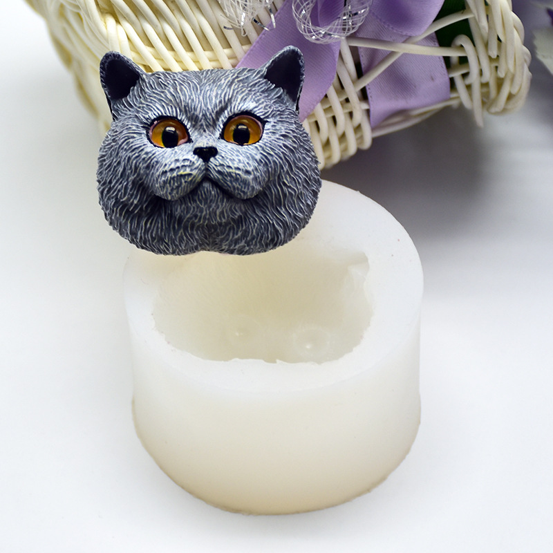 Moule en silicone en forme de  - Soap Making Kits avis et prix