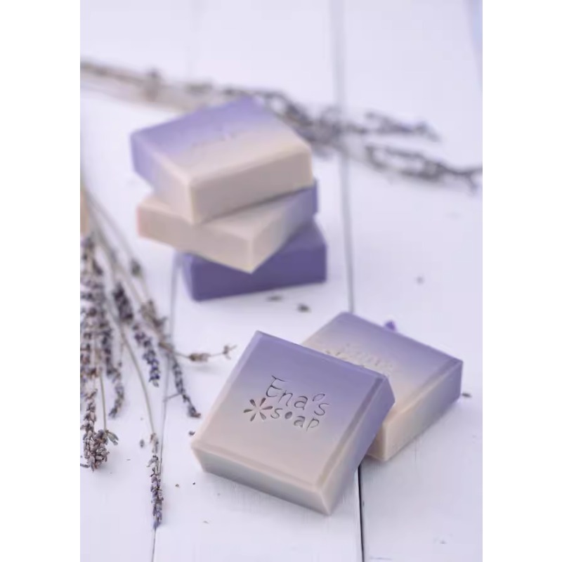 Livre de fabrication de savon  - Soap Making Recipes avis et prix