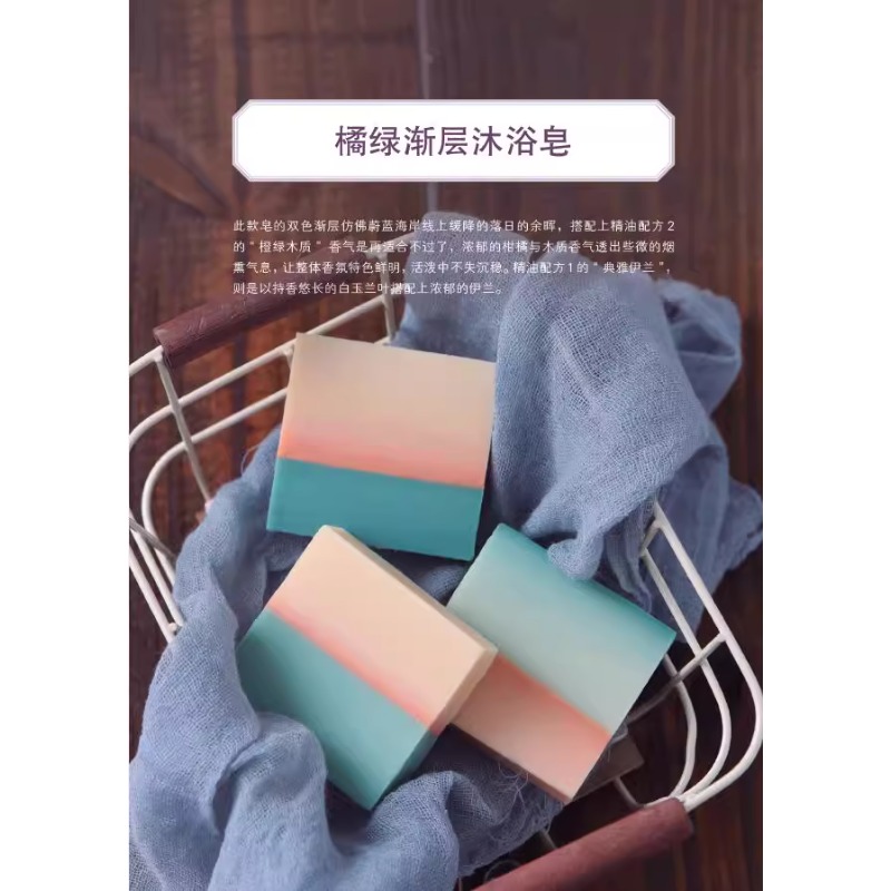 Livre de fabrication de savon  - Soap Making Recipes avis et prix
